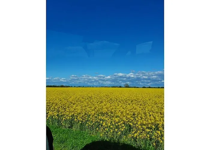 One-bedroom * فيهمارن